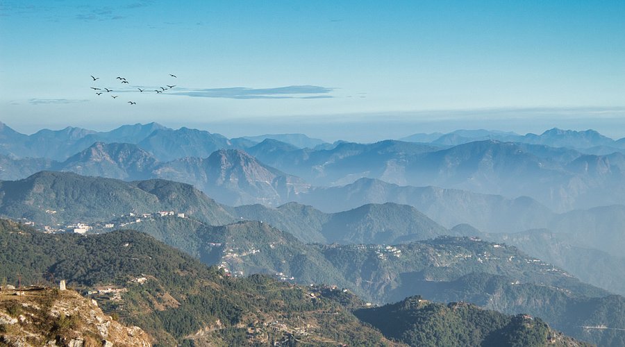 A peaceful and fog-covered landscape at Cloud’s End, Mussoorie, perfect for nature lovers. George Everest.